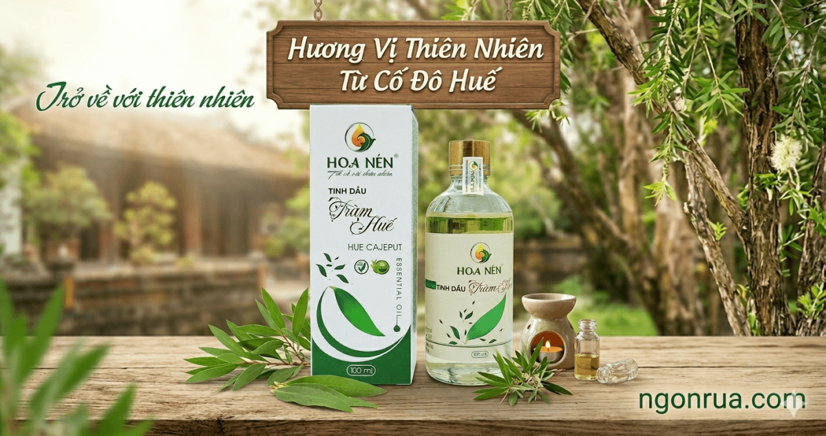 Giá Tinh Dầu Tràm Hoa Nén Bao Nhiêu?