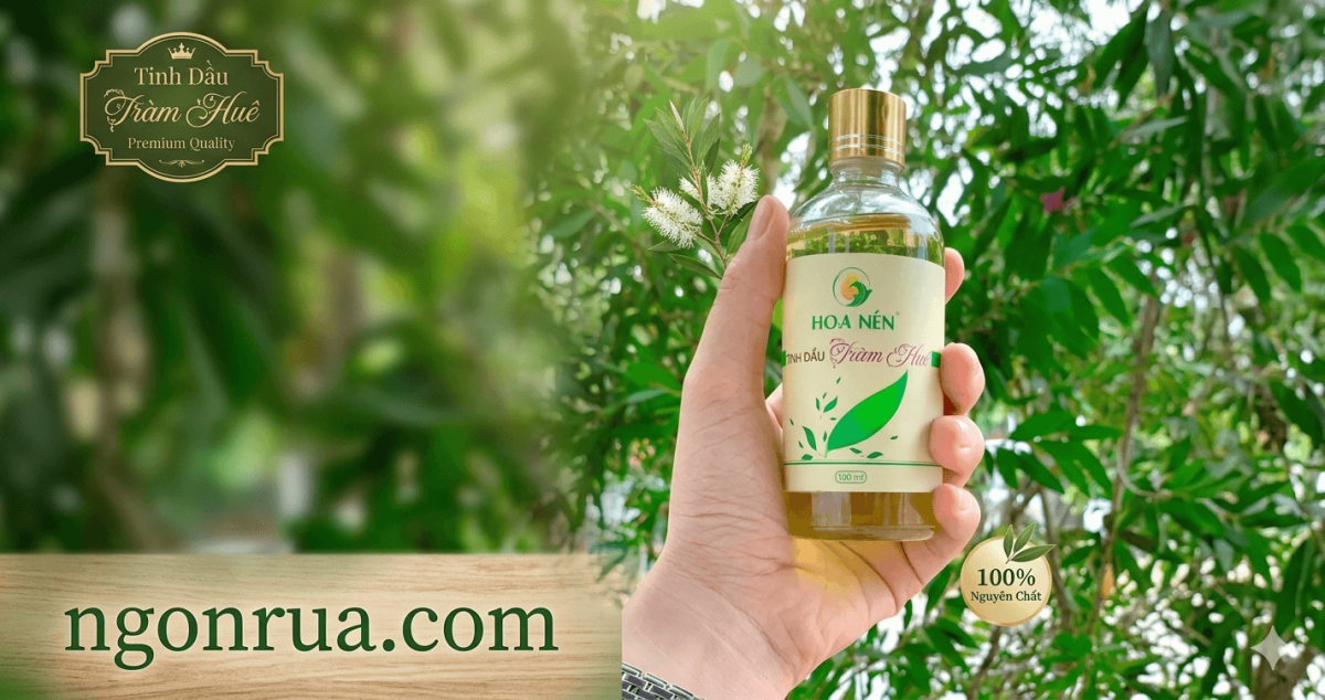 Review Tinh Dầu Tràm Hoa Nén Có Tốt Không?