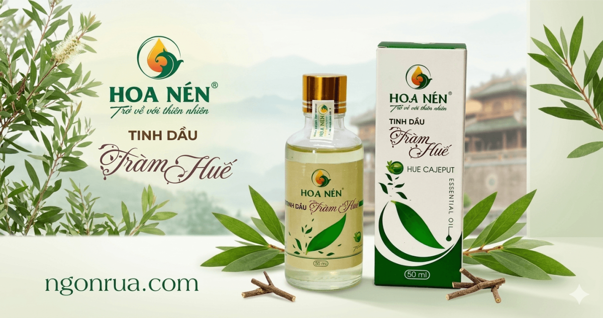 Mua Tinh Dầu Tràm Hoa Nén Ở Đâu Chính Hãng?